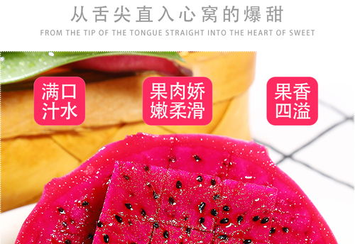 金都一號(hào)蜜寶紅心火龍果 現(xiàn)摘新鮮，甜蜜直達(dá)